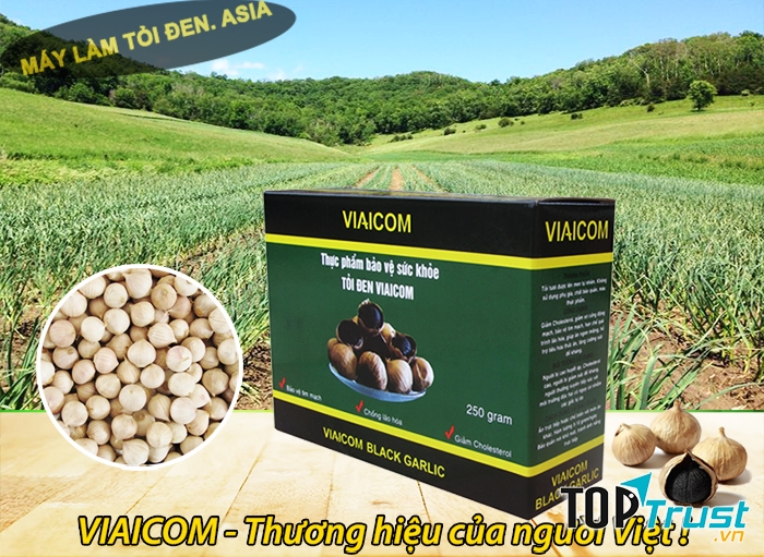 Tỏi đen xuất khẩu Viaicom