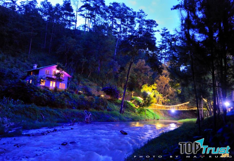 Ma Rừng Lữ Quán vào đêm tối đầy mộng mị