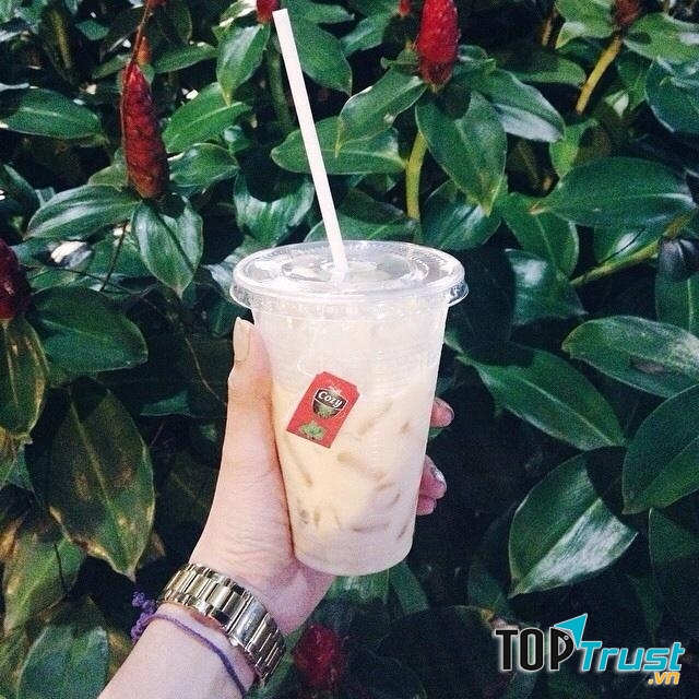 Trà sữa túi lọc