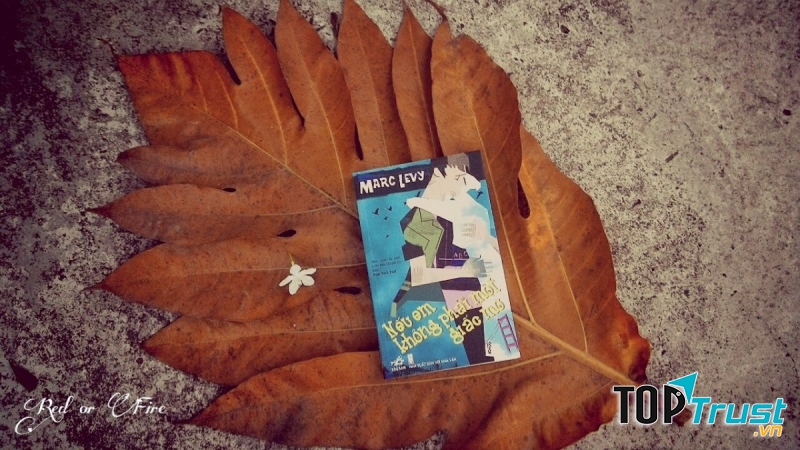 Nguồn ảnh: google.com