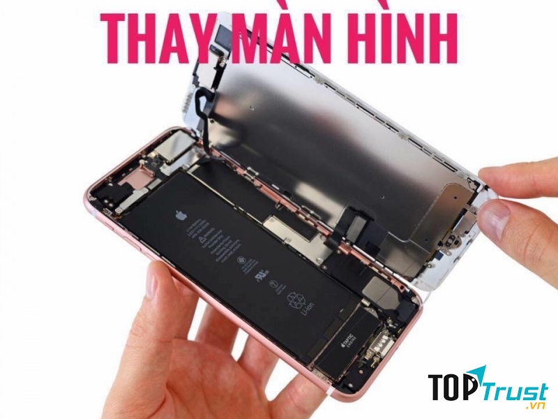 Trường Hói Apple