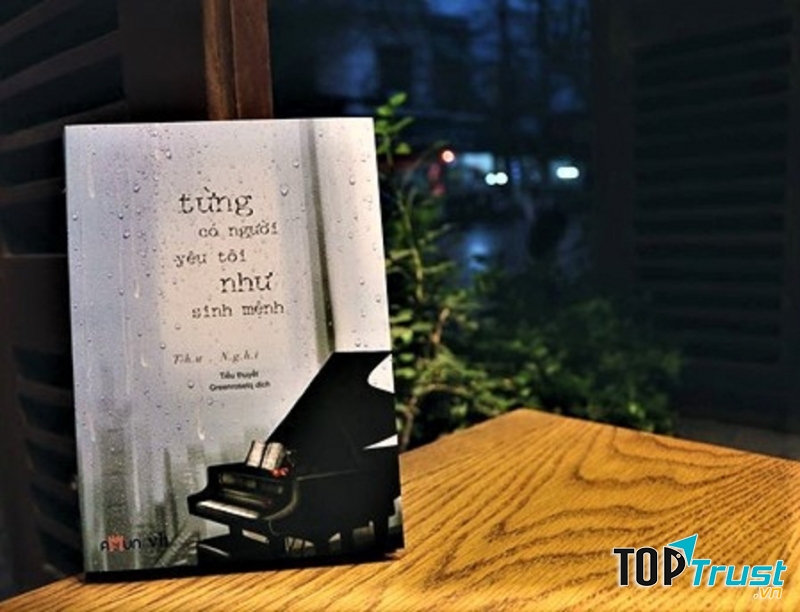 Từng có một người yêu tôi như sinh mệnh (Thư Nghi)