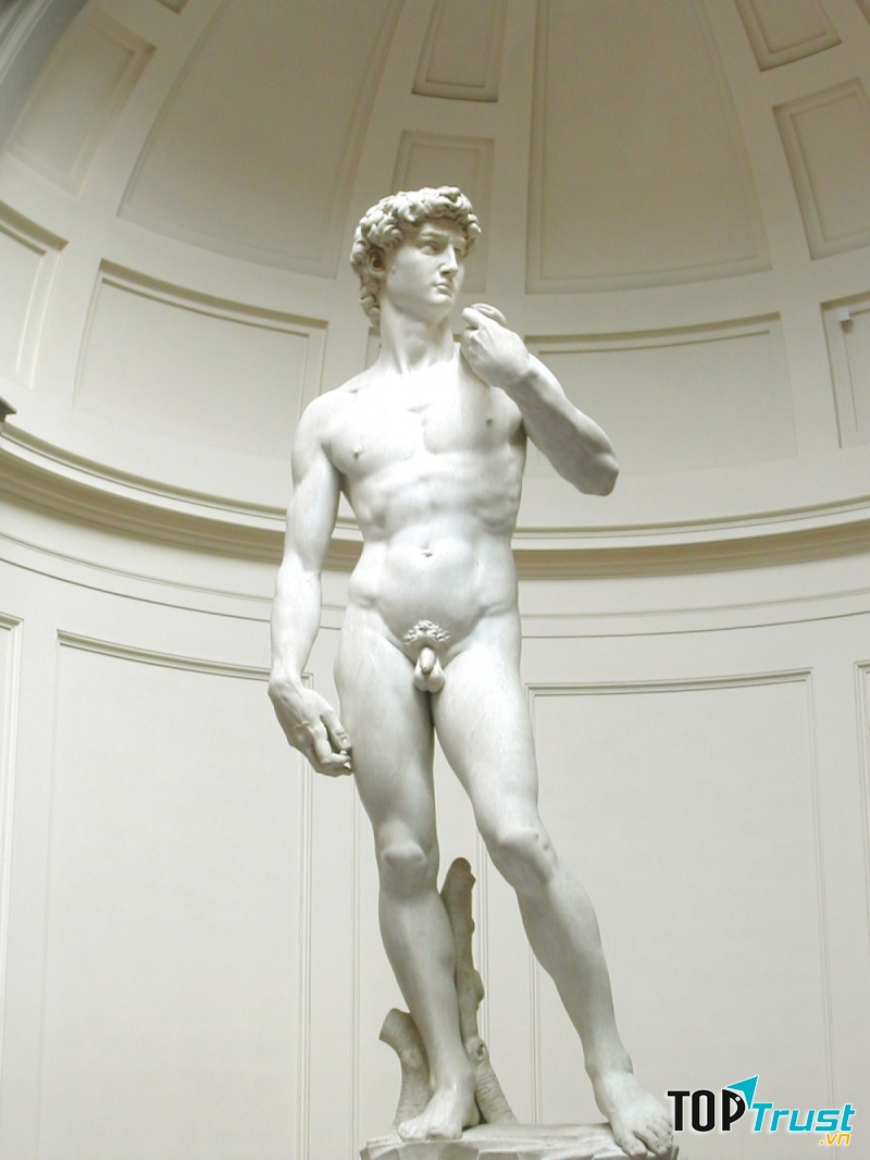 Tượng David - Michelangelo