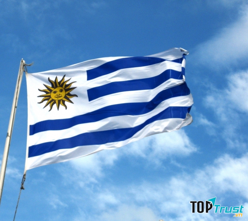 Uruguay là một tập thể đồng đều, giàu sức mạnh cũng như tinh thần đoàn kết và luôn biết cách khiến đối thủ phải e ngại