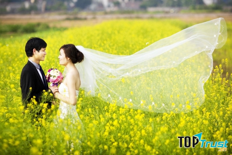 Vườn cải nông nghiệp