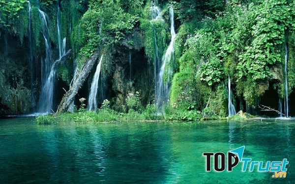 Một góc rừng nguyên sinh trong Vườn quốc gia Phú Quốc