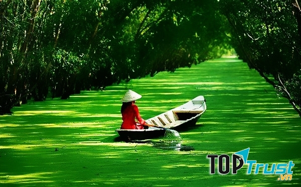 Rạch bèo tây (rừng tràm Trà Sư)