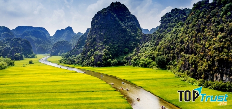 Tam Cốc - Bích Động mùa lúa chín