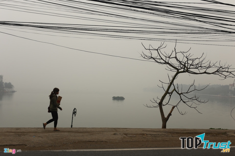 Ảnh minh họa (nguồn internet)