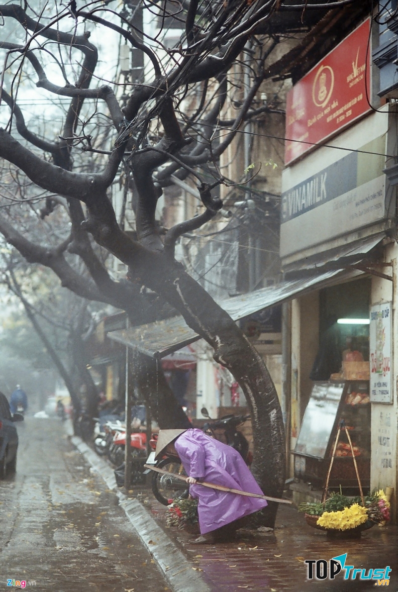 Ảnh minh họa (nguồn internet)