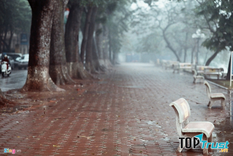 Ảnh minh họa (nguồn internet)