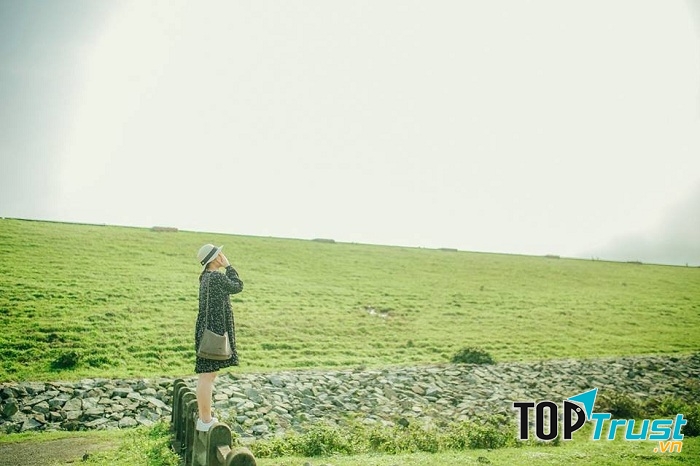 Con đường, hàng rào, hay triền đê,..đều trở thành điểm check in tuyệt diệu