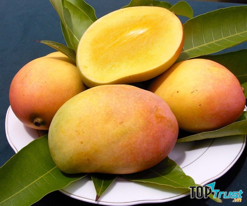Cải thiện hệ tiêu hóa