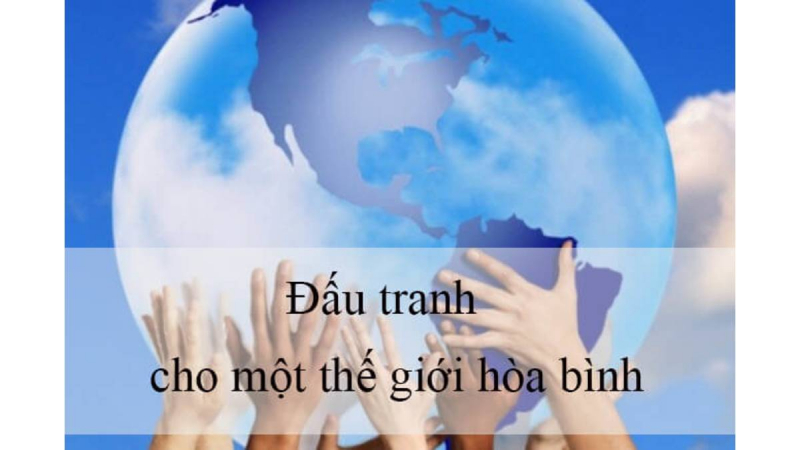 Ảnh minh họa (Nguồn internet)