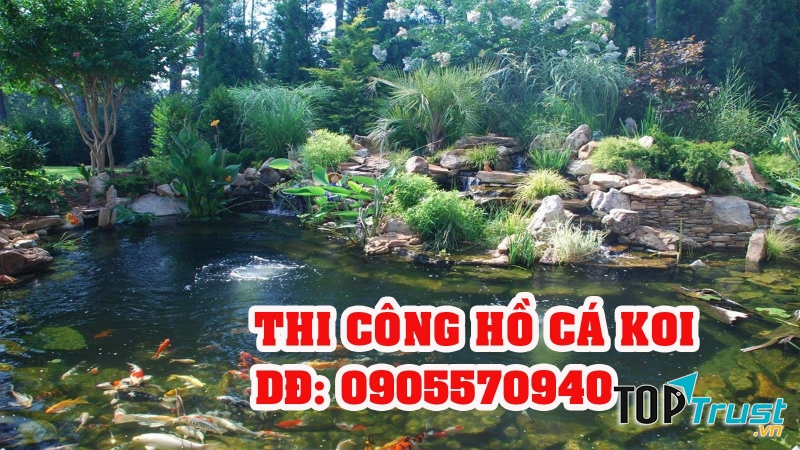 Hồ Cá Koi Đà Nẵng