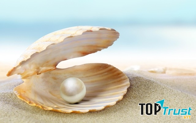 Princess Jewelry - địa chỉ mua ngọc trai uy tín nhất Nha Trang