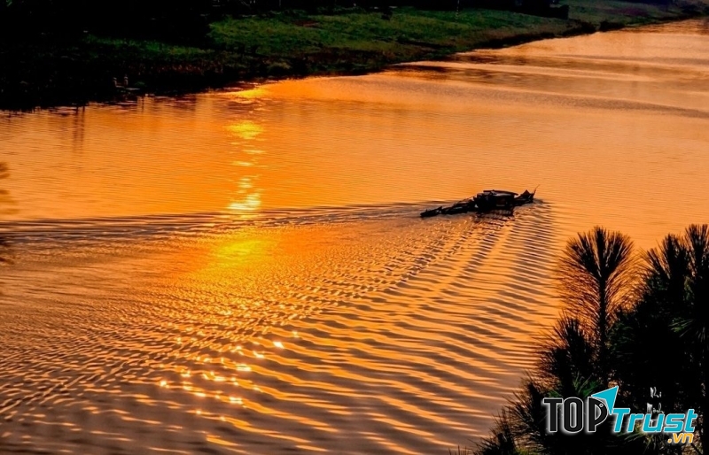 Những hôm trời trong và ánh dương rực vàng như thế, tôi có thể quan sát dọc hai bên bờ của dòng sông.