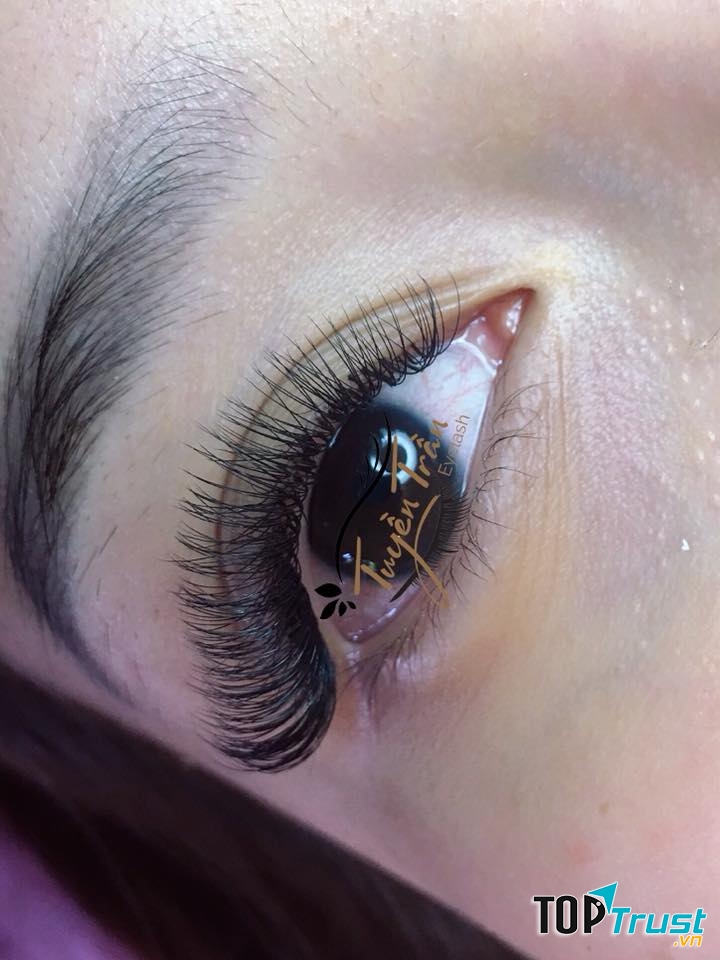 Tuyền Trần Nối Mi