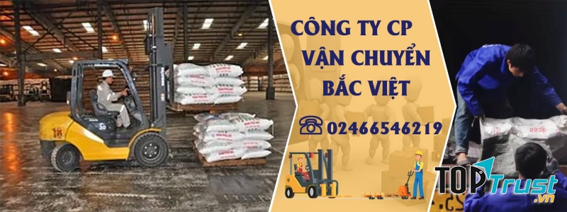 Công ty CP Vận Chuyển Bắc Việt
