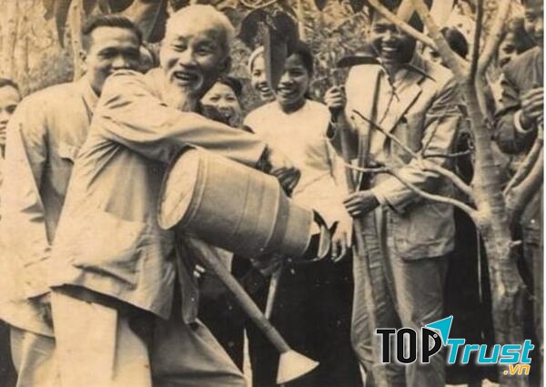 Bác Hồ trồng cây đa tại xã Vật Lại, Ba Vì, Hà Tây (nay là Hà Nội) ngày 16/2/1969