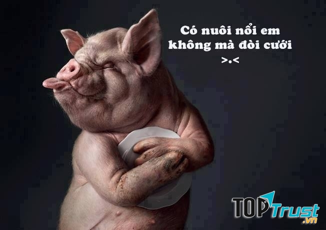 1. Có nuôi nổi hông mà đòi cưới?