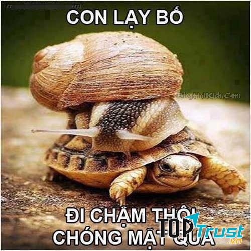 5. Cả hai thánh cùng chậm.