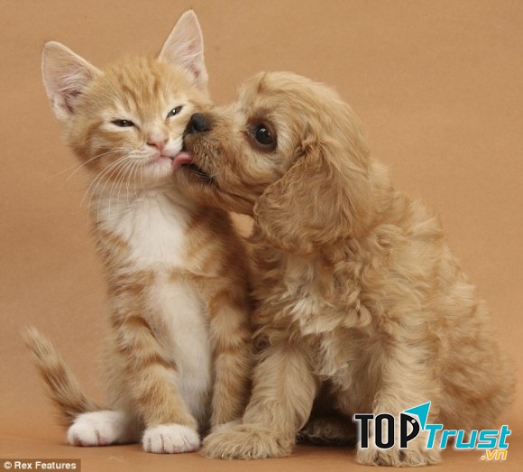 6. Mình thích thì mình làm thôi.