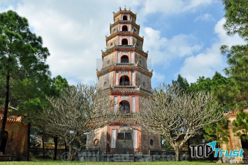 Ảnh minh họa (Nguồn internet)