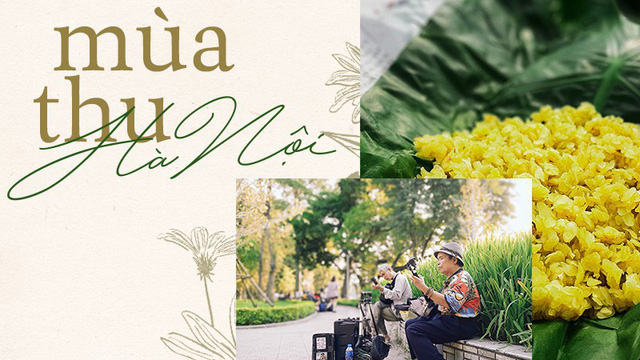 Ảnh minh họa (Nguồn internet)