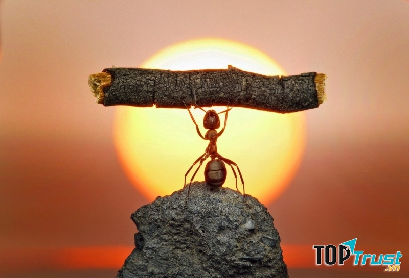 Tâm lý luôn chuẩn bị sẵn sàng đối đầu thử thách