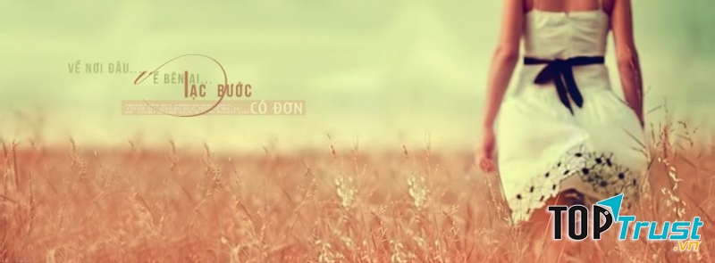 Những mảnh tình đi lạc