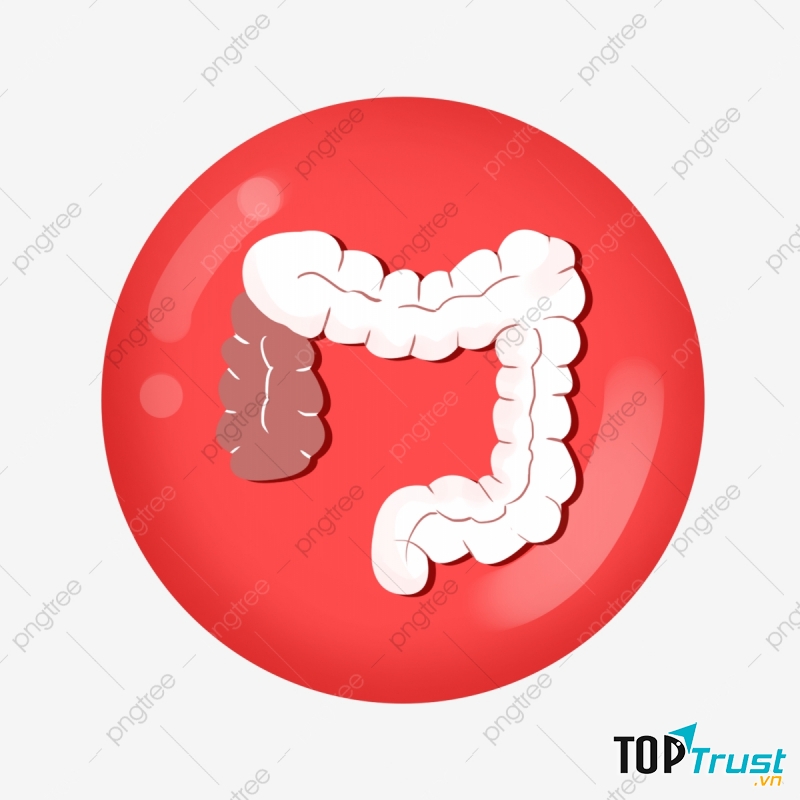 13-17 giờ: Thời gian giải độc của ruột non và bàng quang