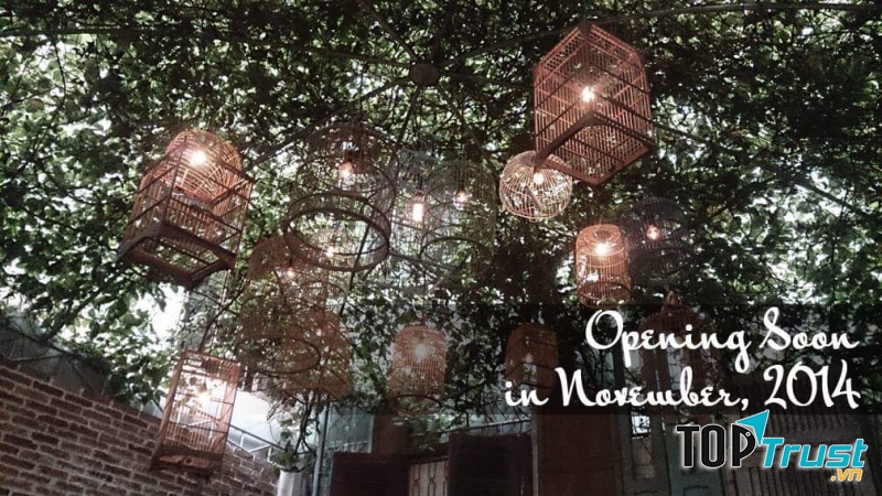 Không gian sống ảo lung linh trong khuôn viên 1985 Garden