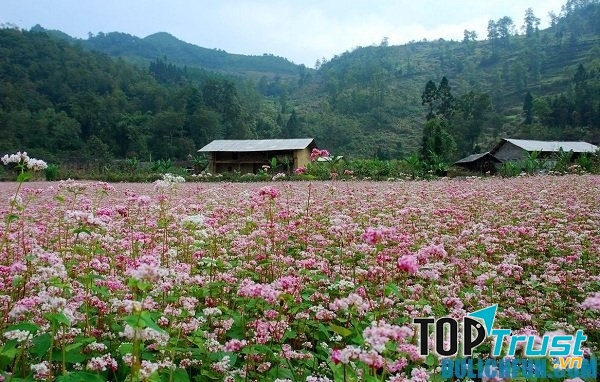Hãy chọn thời điểm đi phù hợp với điểm đến