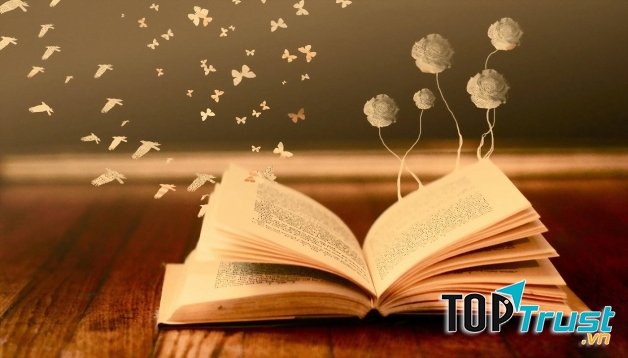 20h00: Tự học hoặc làm việc