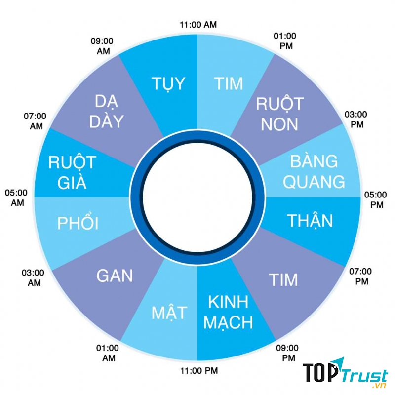 23 - 5 giờ sáng hôm sau: Thời gian giải độc cho mật, gan và phổi