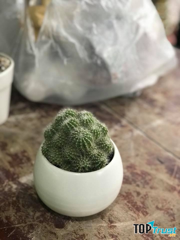 2M's Garden