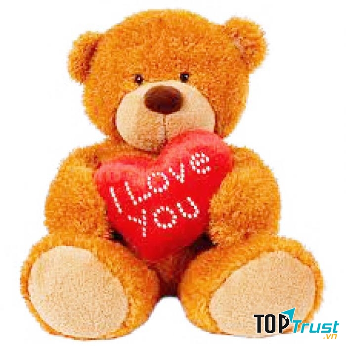Gấu bông tình yêu