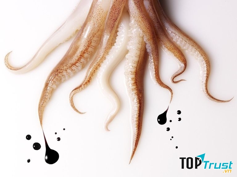 Laughing Squid là nơi hội tụ các bạn có niềm đam mê nghệ thuật.