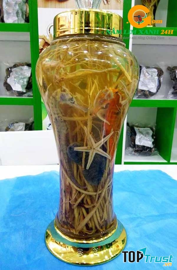 rượu cá ngựa ngâm tốt cho sức khỏe