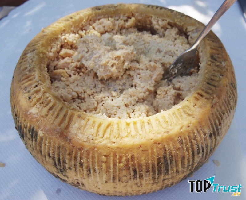 Pho mát giòi - Italia