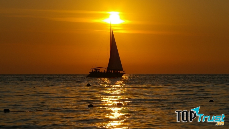 Ảnh minh họa (Nguồn internet)