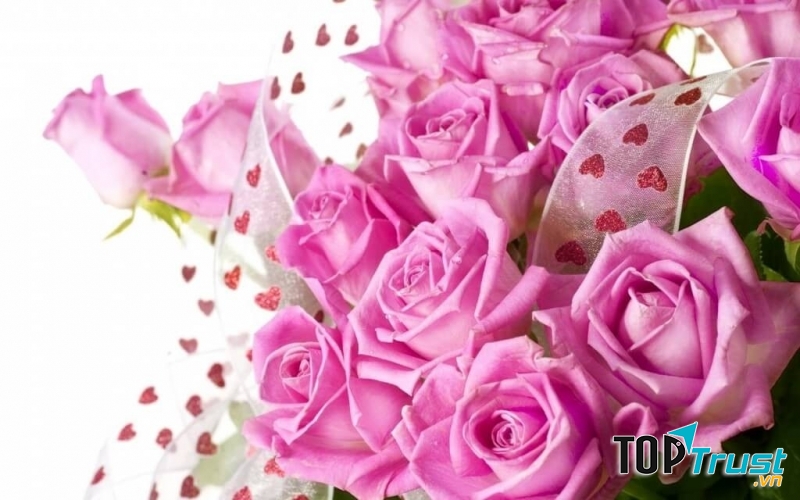 Hoa đẹp bởi phụ nữ đẹp