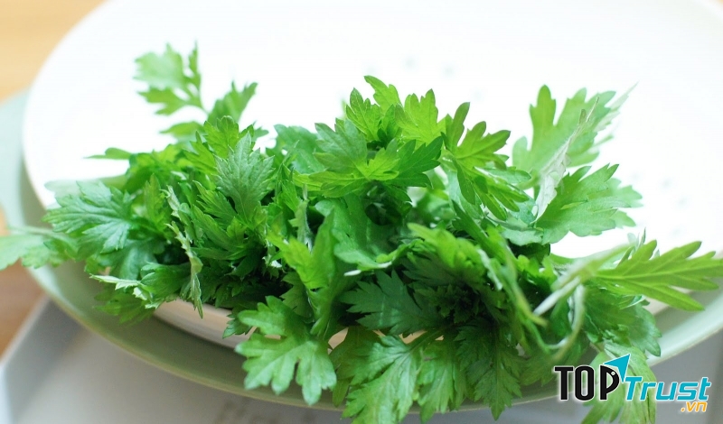 Tinh chất ngải cứu