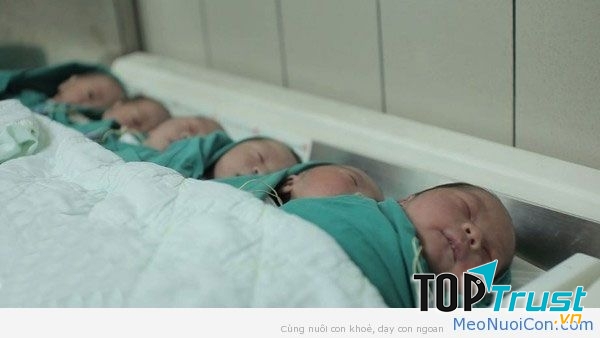 Trẻ được chăm sóc sau sinh tại bệnh viện Việt Nhật