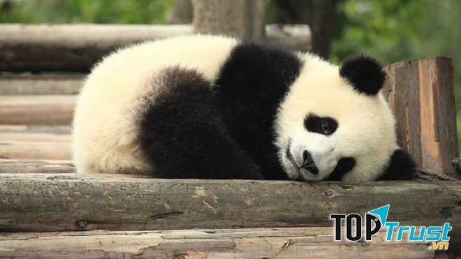 Mình có nổi khổ riêng đó