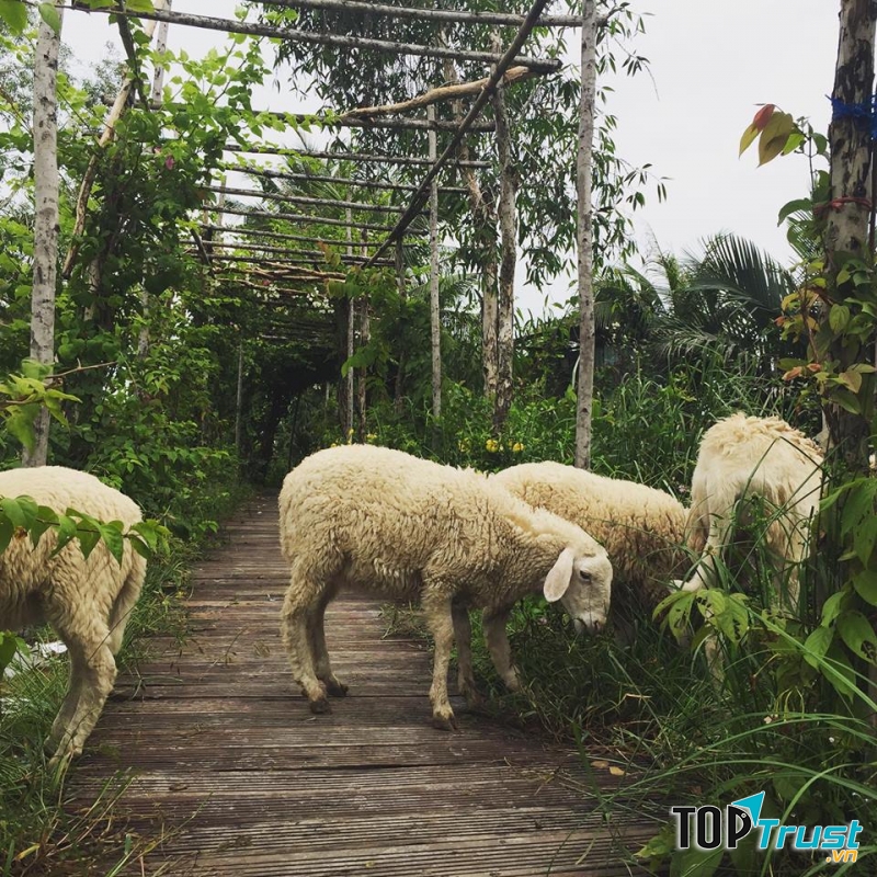 5ku Farm