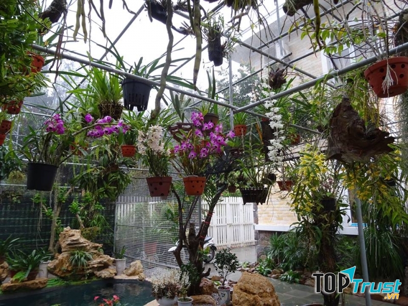 Phía trước có ban công với nhiều giò phong lan đẹp được ông treo trên ấy