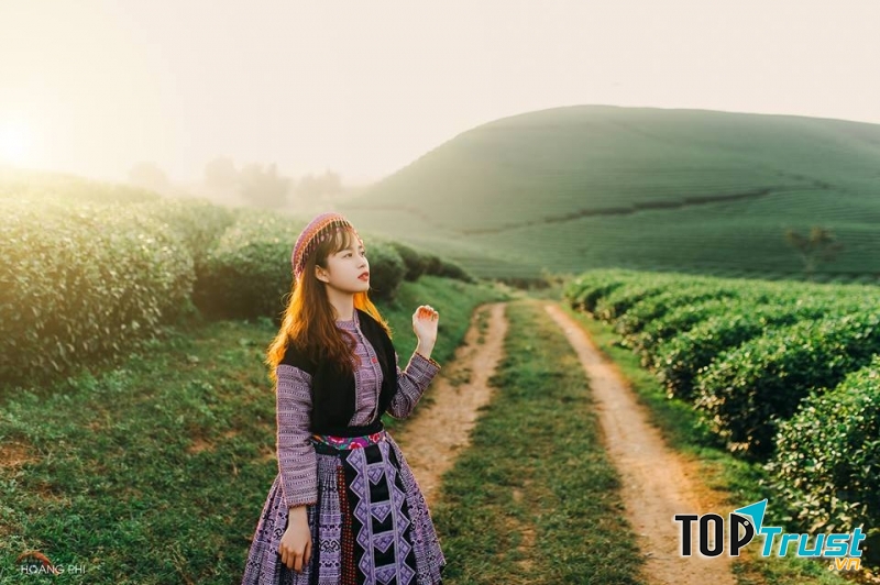 Không khí trong lành mát rượi