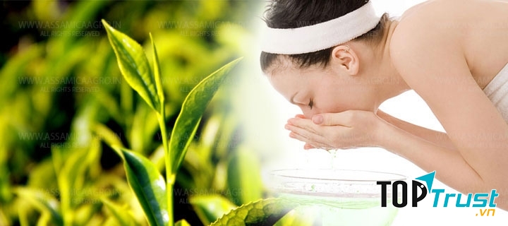 Trị mụn bằng lá chè xanh